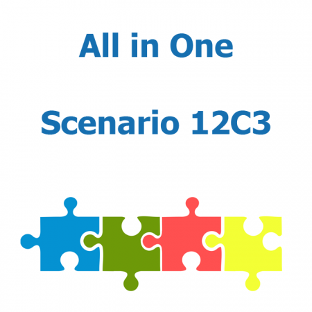 All products in one - Scenario 12C3