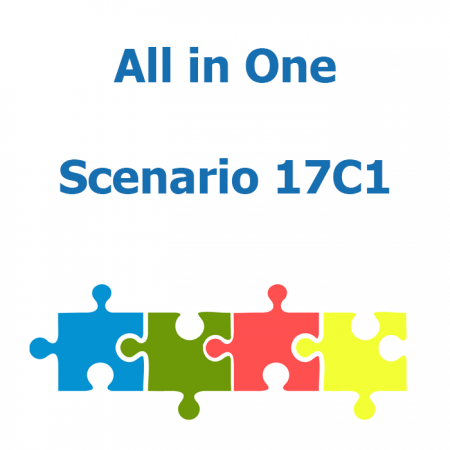 All products in one - Scenario 17C1